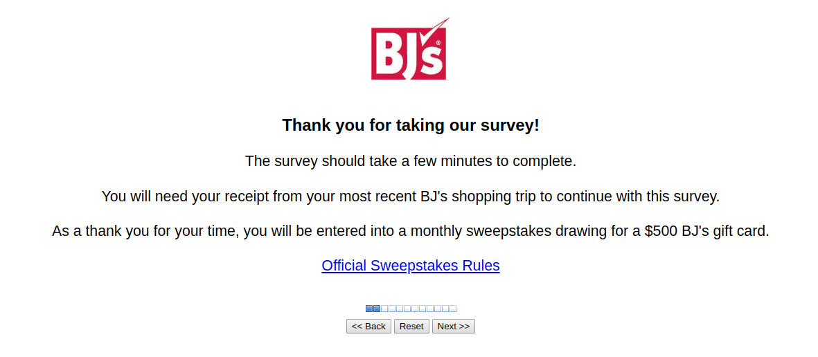 bjs survey