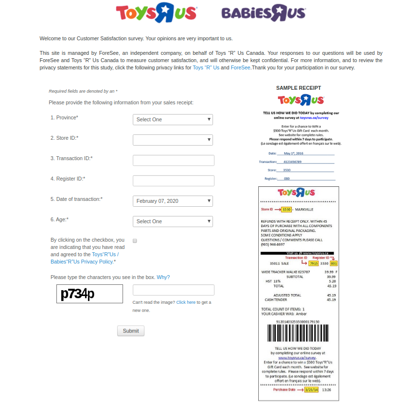 Toys R Us Survey