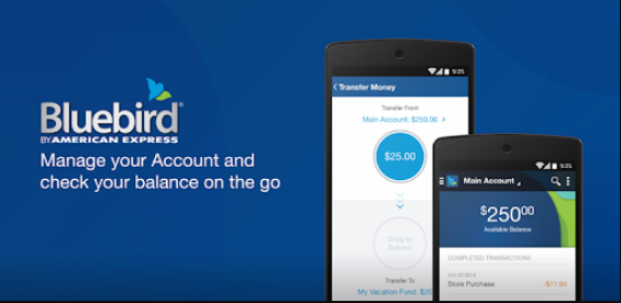 bluebird credit card logo