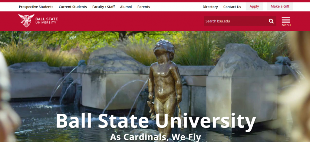 BSU student login portal