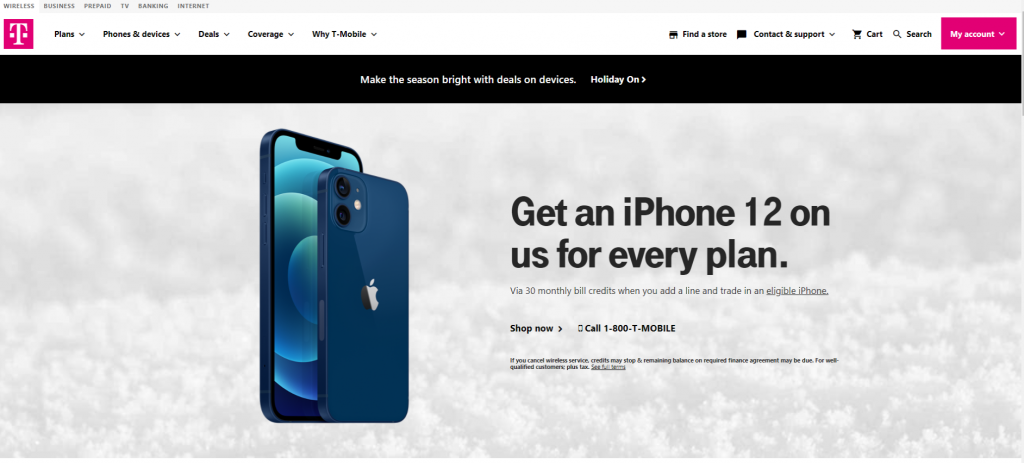 Sprint Login Portal